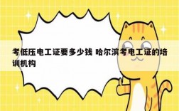 考低壓電工證要多少錢 哈爾濱考電工證的培訓(xùn)機(jī)構(gòu)