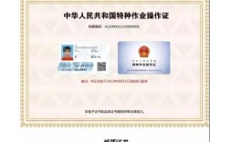 2025年安徽合肥起重機(jī)報(bào)名需要什么資料？報(bào)名流程+報(bào)名指南！