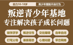  可以拯救青春期孩子網(wǎng)癮大/脾氣大/不愿意去學校的特訓營推薦