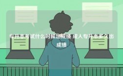 專(zhuān)升本考試什么時(shí)候出成績(jī) 成人專(zhuān)升本多久出成績(jī)