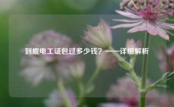 到底電工證*過(guò)多少錢？——詳細(xì)解析
