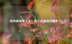 如何查詢電工證？電工證查詢攻略來了！