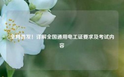 全網(wǎng)首發(fā)！詳解全國(guó)通用電工證要求及考試內(nèi)容