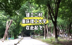 重慶理工大學(xué)是一本還是二本(考研好考嗎)