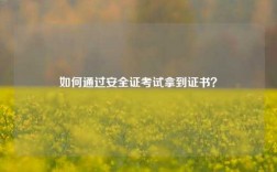 如何通過(guò)安全證考試拿到證書(shū)？