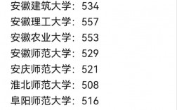安徽大學美術(shù)生錄取分數(shù)線2024