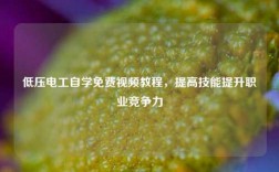 低壓電工自學(xué)免費(fèi)視頻教程，提高技能提升職業(yè)競爭力
