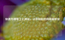 快速辦理電工上崗證，讓你輕松邁向高薪職業(yè)