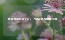 想快速拿到電工證？了解這些費(fèi)用和步驟