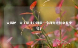 大揭秘！電工證掛公司里一個(gè)月到底能拿多少錢？