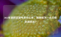 2023年消防證報考條件公布，如何成為一名合格的消防員？