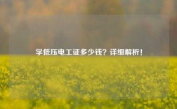 學(xué)低壓電工證多少錢？詳細解析！