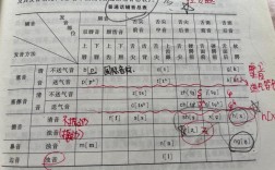 語音的本質(zhì)屬性是什么