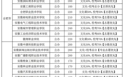 2024年安徽省專科院校排名及分?jǐn)?shù)線