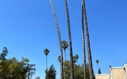 加州理工大學(Caltech)相當于國內(nèi)什么大學？含金量高嗎？