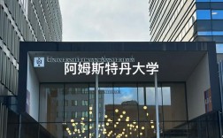 阿姆斯特丹大學相當于國內什么檔次？什么水平？