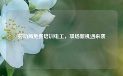 勞動(dòng)局免費(fèi)培訓(xùn)電工，職場(chǎng)新機(jī)遇來襲