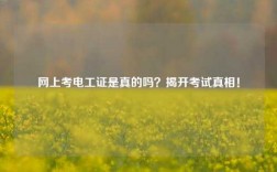 網(wǎng)上考電工證是真的嗎？揭開考試真相！