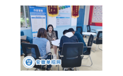 2025年安徽單招分類集訓(xùn)營(yíng)（小班化教學(xué)+一人一群）