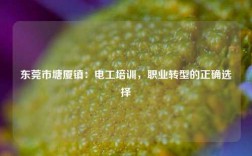 東莞市塘廈鎮(zhèn)：電工培訓，職業(yè)轉型的正確選擇