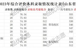 山東科技大學(xué)分數(shù)線