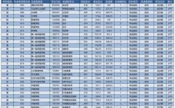 2024年少數(shù)民族骨干計(jì)劃