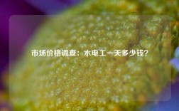 市場價格調(diào)查：水電工一天多少錢？