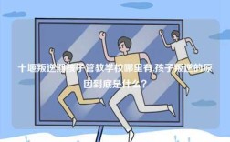十堰叛逆期孩子管教學(xué)校哪里有,孩子叛逆的原因到底是什么？