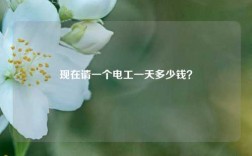 現(xiàn)在請一個電工一天多少錢？