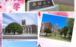 京都大學(xué)相當(dāng)于國內(nèi)什么檔次？什么水平？