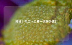 揭秘！電工人工費一天多少錢？