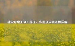 建設(shè)廳電工證：樣子、作用及申領(lǐng)流程詳解