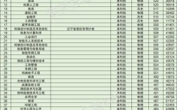 2024年沈陽理工大學(xué)專業(yè)排名
