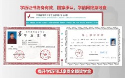 蘭州大學自考本科行政管理專業(yè)目錄及代碼(蘭州大學自考大專官網)