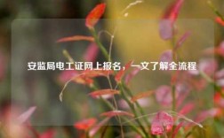 安監(jiān)局電工證網(wǎng)上報(bào)名，一文了解全流程