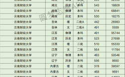 2024年云南財經(jīng)大學(xué)錄取分數(shù)線