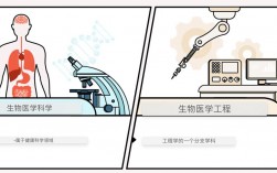 生物工程和生物科學(xué)有什么區(qū)別？