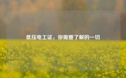 低壓電工證，你需要了解的一切