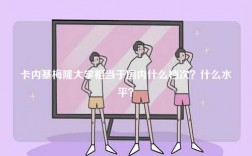 卡內(nèi)基梅隆大學(xué)相當(dāng)于國內(nèi)什么檔次？什么水平？