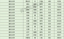 2024年魯東大學(xué)?？其浫》?jǐn)?shù)線