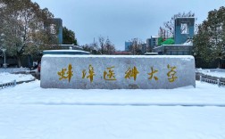 醫(yī)學(xué)類自考本科安徽可選院校2025年匯總：專科非醫(yī)學(xué)專業(yè)能否報考？——蚌埠醫(yī)科大學(xué)怎么報名？