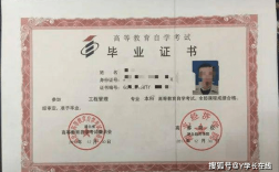 自考還沒畢業(yè)證考研怎么報名(自考本科報名時間)