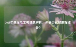 2023年低壓電工考試題解析：你是否已經(jīng)做好準(zhǔn)備？