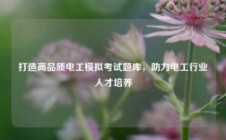 打造高品質(zhì)電工模擬考試題庫，助力電工行業(yè)人才培養(yǎng)