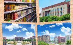 合肥共達(dá)職業(yè)技術(shù)學(xué)院2025年復(fù)讀班升學(xué)率怎樣？有哪些專(zhuān)業(yè)？安徽高考分?jǐn)?shù)要求？