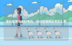 項目管理證書好考嗎，項目管理師證書怎么考