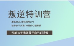 孩子不服管教叛逆網(wǎng)癮能送哪里管教(推薦戒網(wǎng)癮學(xué)校)-不體罰打罵，從心理開始