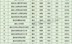 2024年重慶理工大學(xué)排名全國第幾位