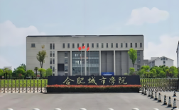 2025年成考專升本合肥城市學院財務管理專業(yè)政策解析：報名條件與流程全攻略