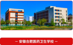 權威公示｜合肥醫(yī)藥衛(wèi)生學校2025年初中起點醫(yī)學類招生專業(yè)及合作院校名錄